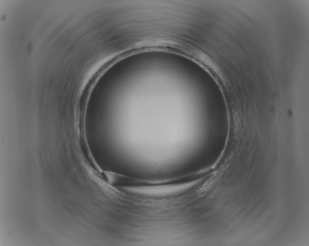 X0000070421124200606231846