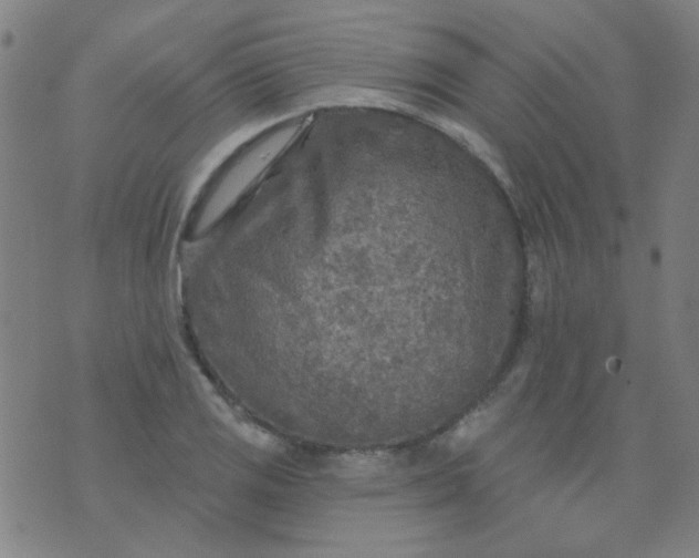 X0000070421125200606231846