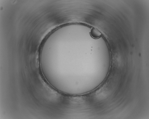 X0000070421126200606231846