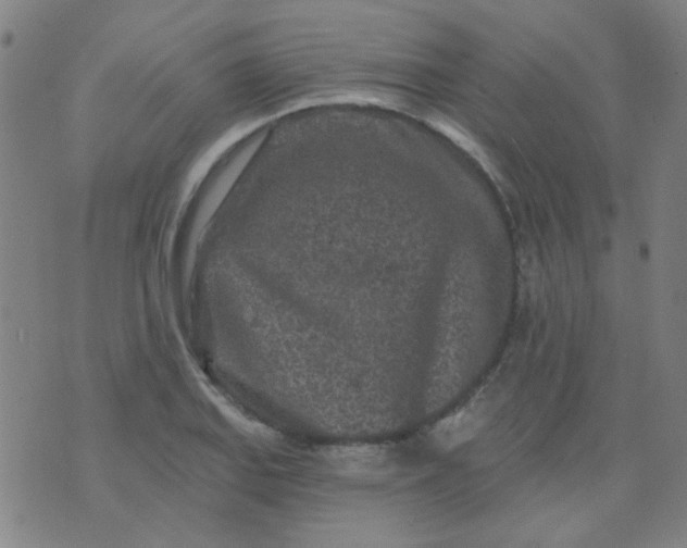 X0000070421127200606231846