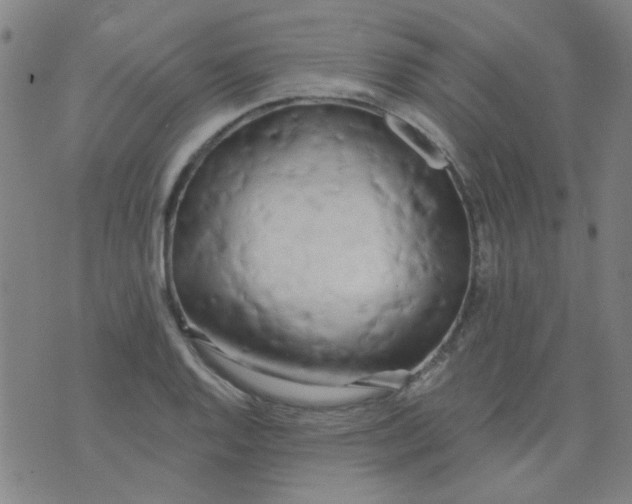 X0000070421128200606231846