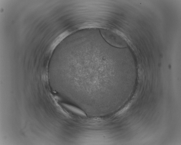 X0000070421129200606231846