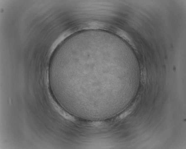 X0000070421130200606231846