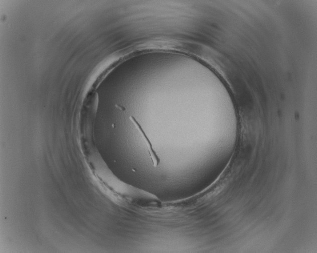 X0000070421131200606231846