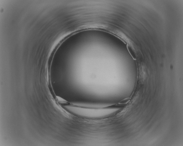 X0000070421132200606231846