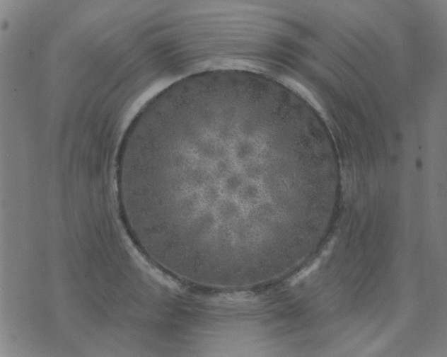 X0000070421133200606231846