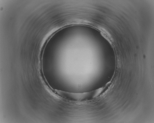 X0000070421136200606231846