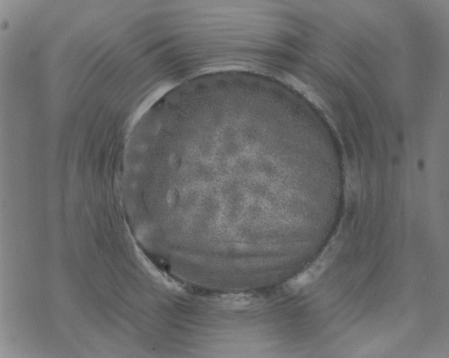 X0000070421137200606231846