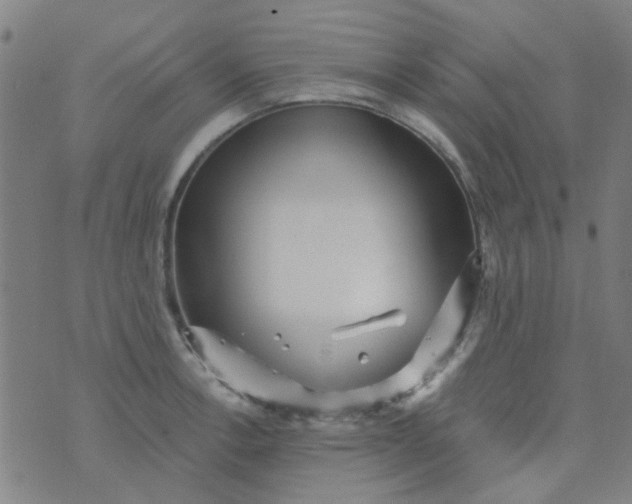 X0000070421138200606231846