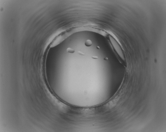 X0000070421139200606231846