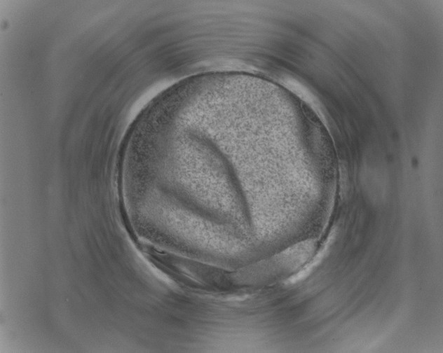 X0000070421141200606231846