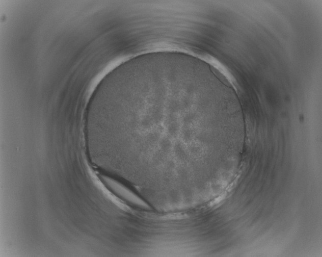 X0000070421142200606231846