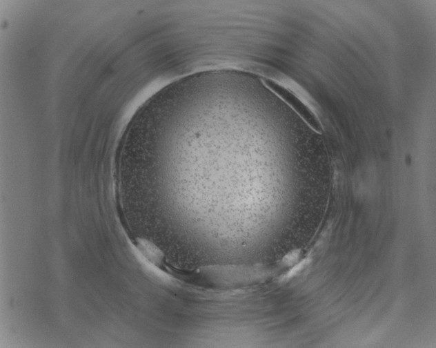 X0000070421143200606231846