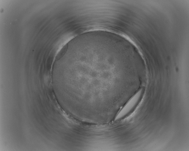 X0000070421145200606231846