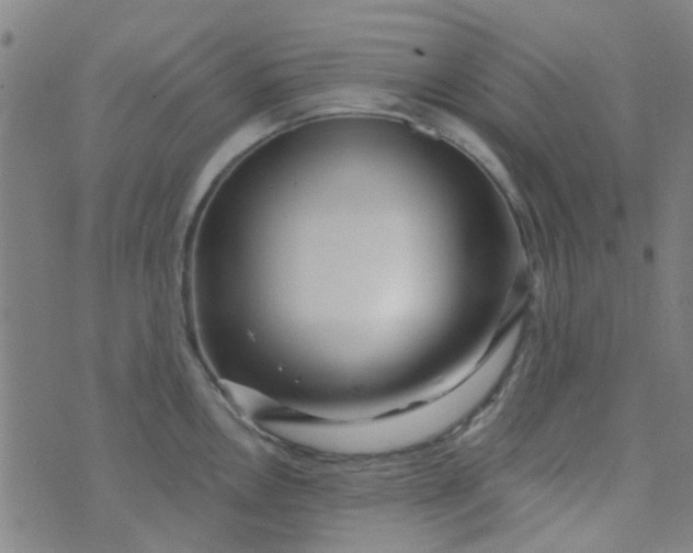 X0000070421146200606231846