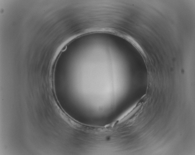 X0000070421148200606231846