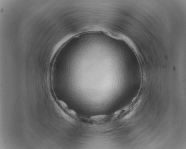 X0000070421149200606231847