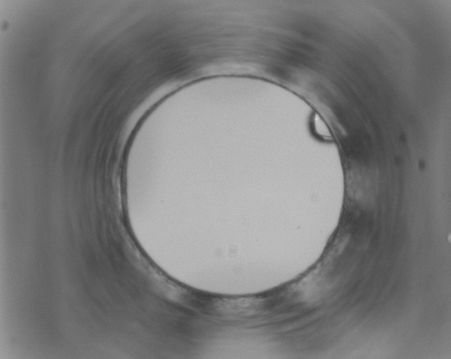 X0000070421150200606231847