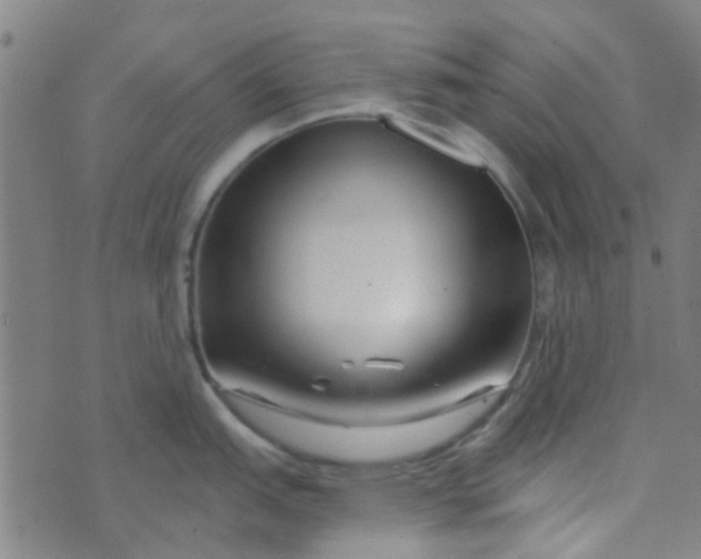 X0000070421151200606231847