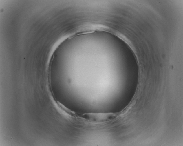 X0000070421152200606231847