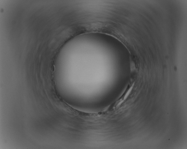 X0000070421153200606231846