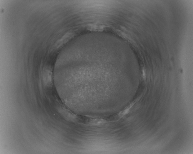 X0000070421154200606231846