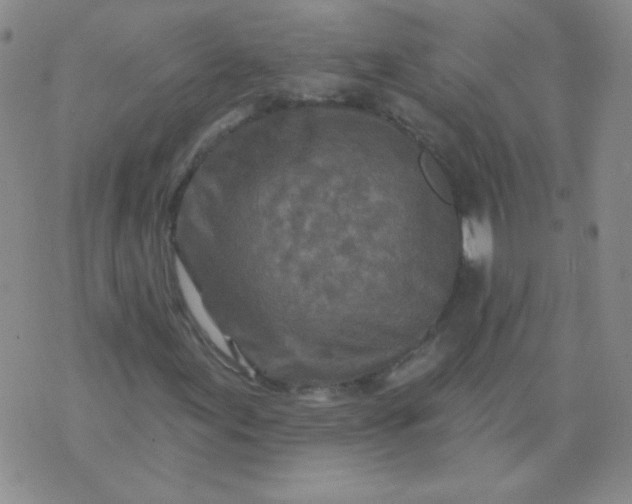 X0000070421155200606231846