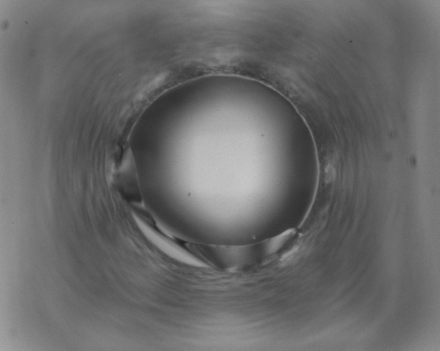 X0000070421156200606231846