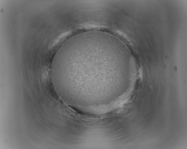 X0000070421157200606231846