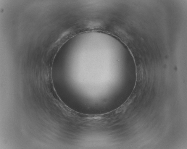 X0000070421158200606231846