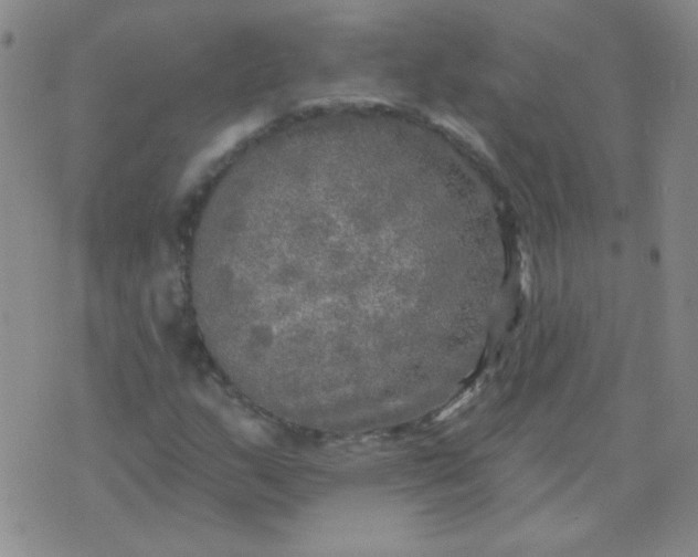 X0000070421159200606231846