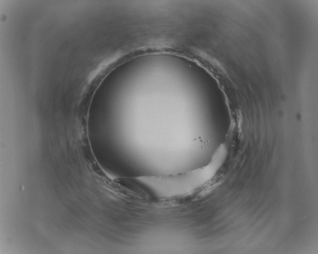 X0000070421160200606231846