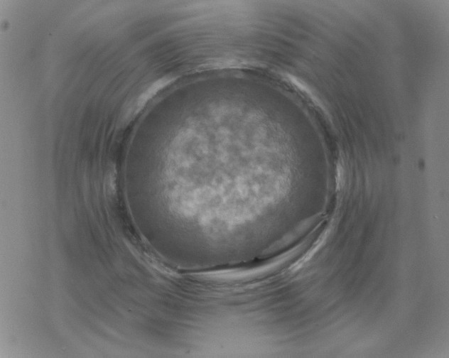 X0000070421161200606231846