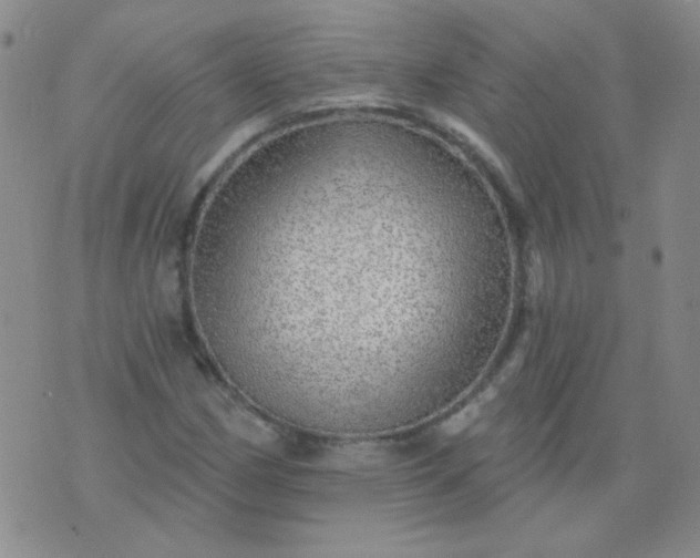 X0000070421162200606231846