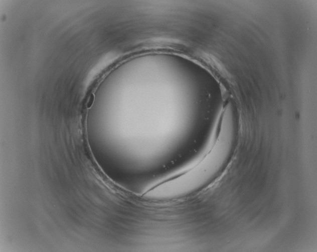 X0000070421164200606231846