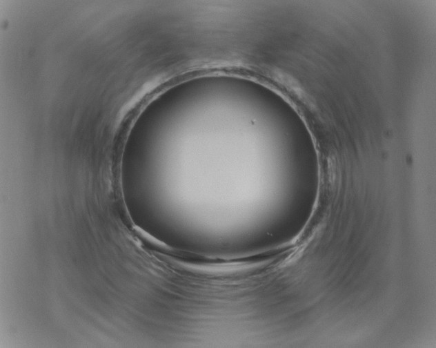 X0000070421165200606231846