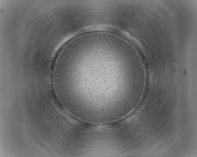 X0000070421166200606231846