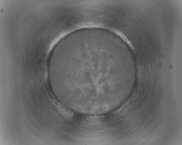 X0000070421167200606231846