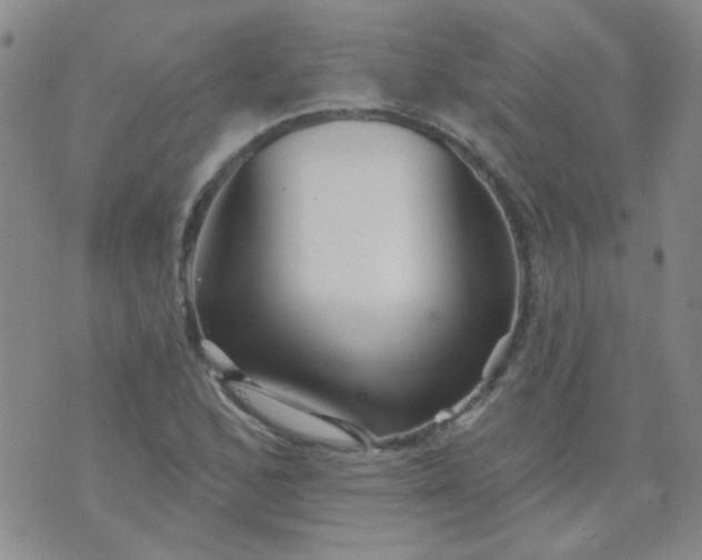 X0000070421168200606231846