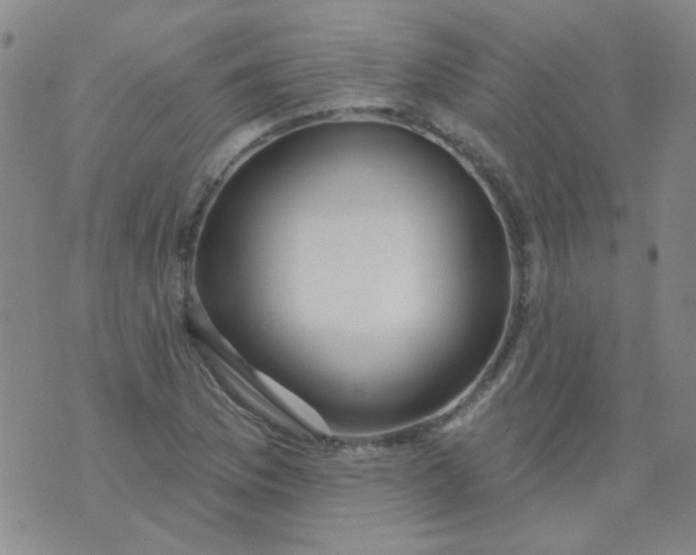 X0000070421169200606231846