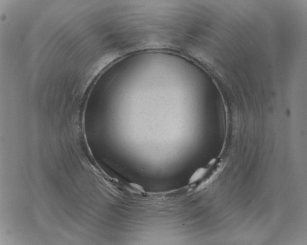 X0000070421170200606231846