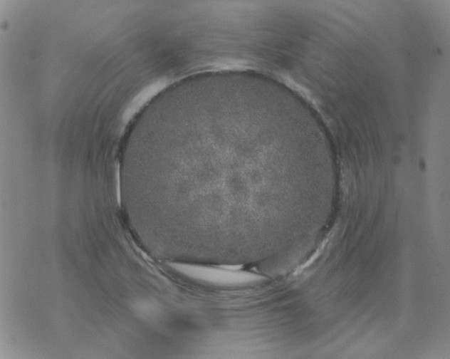 X0000070421171200606231845