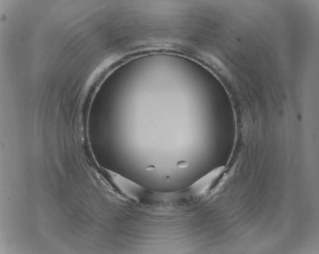 X0000070421172200606231845