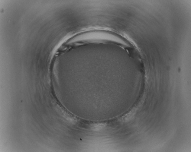 X0000070421173200606231845