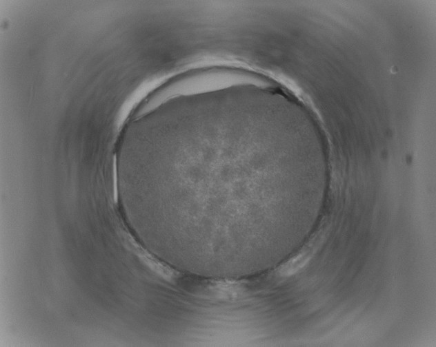 X0000070421175200606231845