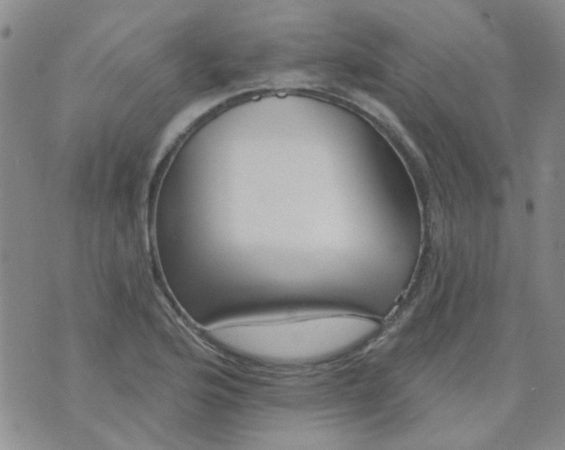 X0000070421176200606231845