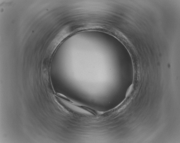 X0000070421177200606231845