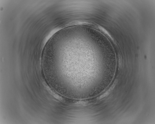 X0000070421178200606231845