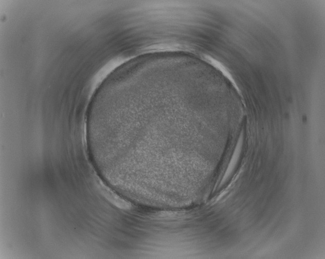 X0000070421179200606231845