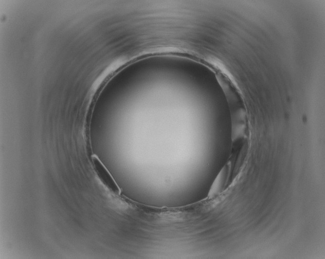 X0000070421181200606231845